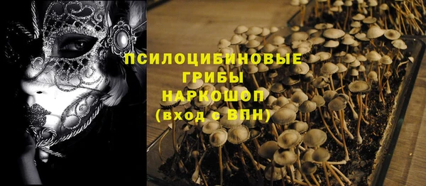 2c-b Белокуриха